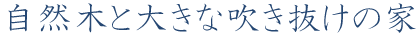 自然木と大きな吹き抜けの家